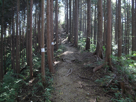 20171026hike (112)